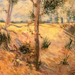 Trees in a Field on a Sunny Day by Van Gogh